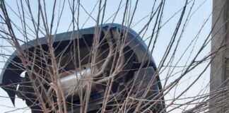 Un conducator auto din Crampoia a intrat in coliziune cu un copac