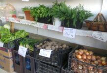 Piața online. Micii producători s-au adaptat și își vând legumele pe Facebook