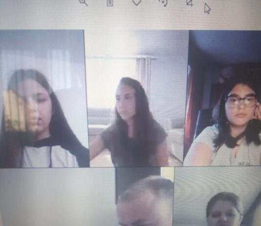 Activitatea la Palatul Copiilor continuă în mediul virtual