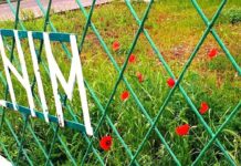 CN ‘Ion Minulescu’- 99 de ani, aniversare online