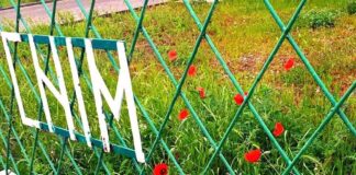 CN ‘Ion Minulescu’- 99 de ani, aniversare online