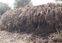 La Vitomirești a fost deschisă platforma pentru gunoiul de grajd. Este a IV-a localitate din Olt.