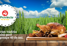 GRUPUL CARMISTIN INVESTEŞTE 8 MILIOANE DE EURO, LA SCORNICEŞTI