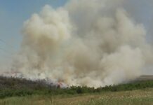 Fermierii olteni care își incendiază terenurile, pierd subvenția APIA