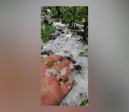 DUPĂ GRINDINĂ SE NUMĂRĂ PAGUBELE