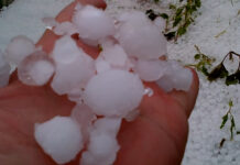 GRINDINA A FĂCUT PRĂPĂD ÎN SUDUL JUDEȚULUI