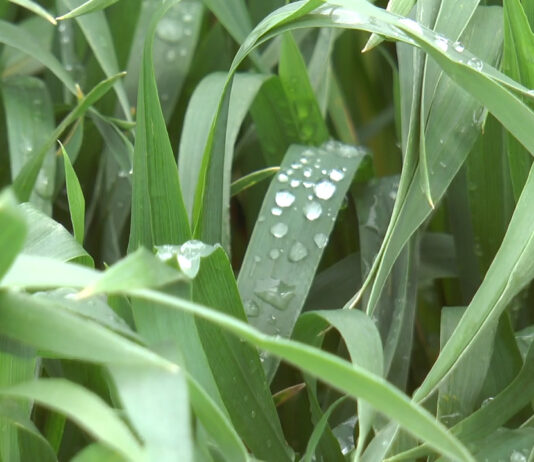 VREMEA A FOST BUNĂ CU FERMIERII DIN OLT
