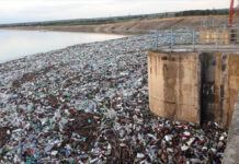 INVAZIE DE PET-URI LA BARAJUL DRĂGĂNEŞTI-OLT