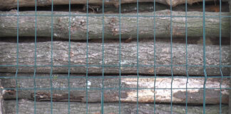 2 TINERI DIN ARGEŞ, SANCŢIONAŢI DE POLIŢIŞTII SECŢIEI RURALE GĂNEASA