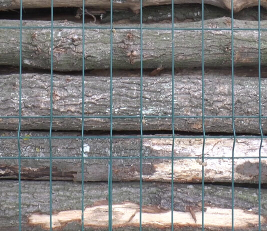 2 TINERI DIN ARGEŞ, SANCŢIONAŢI DE POLIŢIŞTII SECŢIEI RURALE GĂNEASA