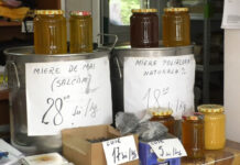 VREMEA CREEAZĂ PROBLEME APICULTORILOR