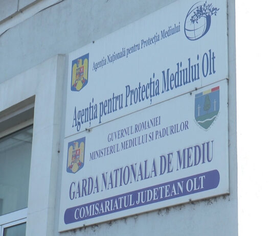 CURĂȚENIA LA CONTROL. CODAȘI LA RECICLARE