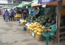 PIEȚELE DIN SLATINA, ENTITĂȚI ALE AAPR