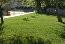 O NOUĂ OAZĂ DE VERDEAȚĂ ÎN SLATINA