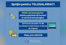 BANI DE LA STAT PENTRU CEI CARE AU FĂCUT TELEMUNCĂ!