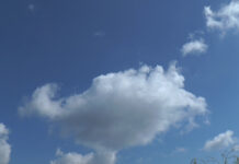 7 SEPTEMBRIE, ZIUA INTERNAŢIONALĂ A AERULUI CURAT