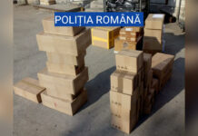 PESTE 1000 DE KILOGRAME DE TUTUN RIDICATE DE POLIŢIŞTII OLTENI