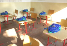 SURPRIZE PENTRU ELEVII DIN CURTIȘOARA