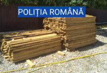 ACŢIUNI PENTRU REDUCEREA TĂIERILOR ILEGALE DE ARBORI