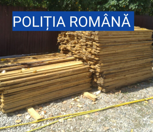 ACŢIUNI PENTRU REDUCEREA TĂIERILOR ILEGALE DE ARBORI