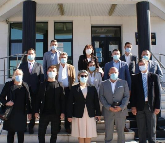 Un artist și un jurist deschid listele PPUsl Olt pentru Parlament