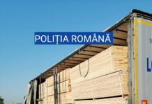 TRANSPORT ILEGAL DE MATERIAL LEMNOS DEPISTAT DE POLIȚIȘTII OLTENI