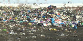 25 DE PRIMĂRII DIN OLT AMENDATE DE COMISARII GM OLT