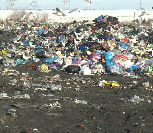 25 DE PRIMĂRII DIN OLT AMENDATE DE COMISARII GM OLT