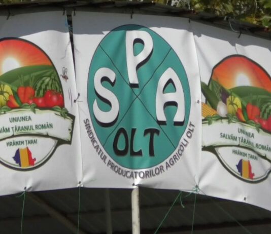 SOLUȚII PENTRU PROBLEMELE LEGUMICULTORILOR