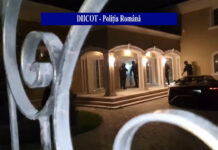 REŢEA DE PROXENEŢI, CONDUSĂ DIN ÎNCHISOARE, DESTRUCTURATĂ DE PROCURORI