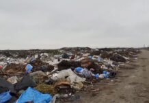 MUNŢI DE DEŞEURI NECONTROLATE LA REDEA