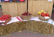 LEGUMICULTORII AȘTEAPTĂ BANII DUPĂ UN AN GREU