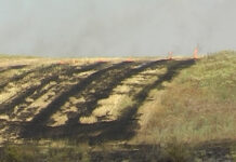 45 DE FERMIERI SANCȚIONAȚI DE APIA