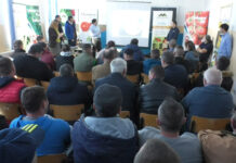 PRODUCĂTORI DE TOP, PRODUCĂTORI INFORMAȚI