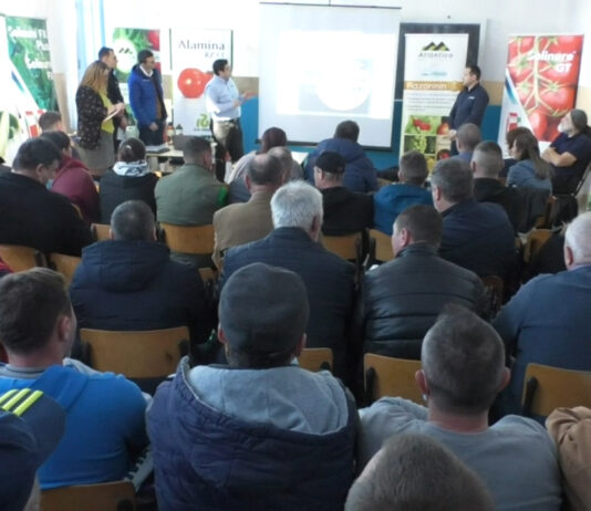 PRODUCĂTORI DE TOP, PRODUCĂTORI INFORMAȚI