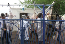 LA OSICA DE SUS VOR PUTEA FI SACRIFICAȚI MIEI