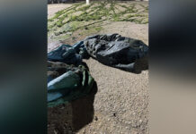 Prinși la pescuit în prima zi de prohibiție