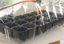 ROBOȚII AU CUCERIT PALATUL COPIILOR