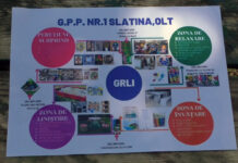 GRLI – PROIECTUL CE A COLORAT GRĂDINIȚELE