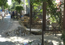 OAZE DE VERDEAȚĂ ÎN CARTIERELE SLATINEI