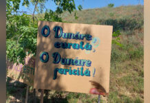 ZIUA DUNĂRII, SĂRBĂTORITĂ LA CORABIA