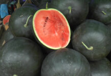 ROŞIILE, VINETELE ŞI LUBENIŢA, „AU BĂGAT ÎN SPITAL” ZECI DE OLTENI