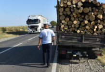 SANCŢIONAT PENTRU TRANSPORT ILEGAL DE MATERIAL LEMNOS