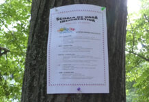 LA ȘCOALA DE VARĂ DE LA NICOLAE IORGA