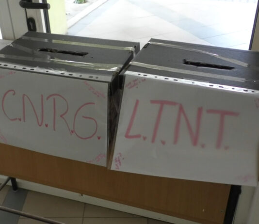 SĂRBĂTORESC IUBIREA ÎN STIL ADOLESCENTIN