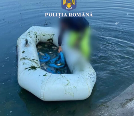 MII DE CERCETĂRI ŞI CONTROALE ÎN 2022