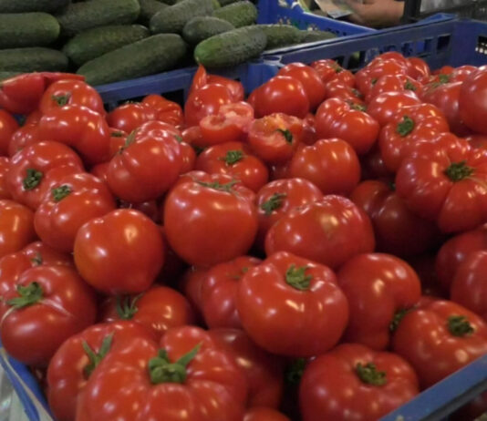 PRODUCĂTORII RĂMÂN CU MARFA PE TARABE