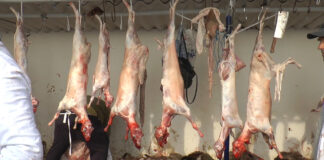 Acțiuni de control derulate în perioada premergătoare Sărbătorilor Pascale