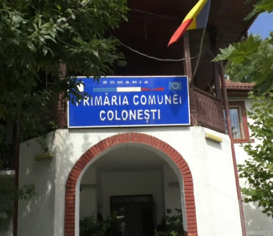 NICOLAE STAN A DEMISIONAT DIN FUNCŢIA DE PREŞEDINTE PSD COLONEŞTI