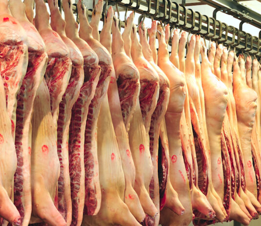 Porcul de Crăciun va fi mai scump și mai greu de găsit